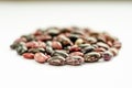 Mix of raw beans on white background. Assortment of multi colored dried kidney beans