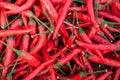 Mix Red Chilli organic farm on tray, thailand market