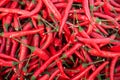 Mix Red Chilli organic farm on tray, thailand market
