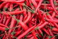 Mix Red Chilli organic farm on tray, thailand market