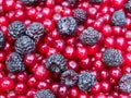 Mix red currants and black raspberries