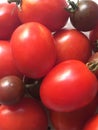 Mix of red tomatoes and black cherry