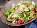 Mix salad from fresh vegetables and greens herbs. Dietary menu. Royalty Free Stock Photo