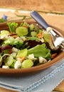 Mix salad with grapes and walnuts with cheese Royalty Free Stock Photo