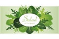 Mix of salad leaves. Arugula, spinach and lettuce leaf. Vector illustration set in flat style.