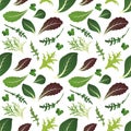 Mix of salad leaves. Arugula, spinach, lettuce leaf, watercress and radicchio. Seamless pattern. Vector illustration.