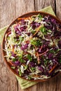 Mix salad of white and red cabbage with carrots, onions, herbs w Royalty Free Stock Photo