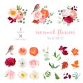 Mix of seasonal plants anf flowers big vector collection
