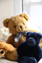 Mix of soft toys in the children room Royalty Free Stock Photo