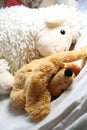 Mix of soft toys in the children room Royalty Free Stock Photo