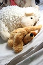 Mix of soft toys in the children room Royalty Free Stock Photo