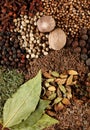 Mix spice Royalty Free Stock Photo