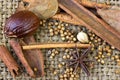Mix of spice Cinnamon And Star Anise on sack Royalty Free Stock Photo