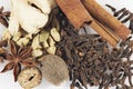 Mix of spices. Royalty Free Stock Photo
