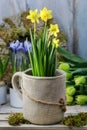 Mix of spring flowers and simple easter decorations. Scilla siberica, Galanthus nivalis and crocuses