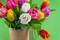 Mix of spring tulips flowers. Bouquet in a vase. Multi-colored spring flower. Gift. Red, pink, white and yellow Royalty Free Stock Photo