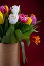 Mix of spring tulips flowers. Bouquet in a vase. Multi-colored spring flower. Gift. Red, pink, white and yellow Royalty Free Stock Photo