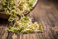 Mix of sprouted seeds Royalty Free Stock Photo