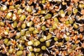 Mixed sprouts germinating on humus soil, closeup from above