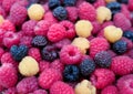 Mix three varieties of raspberries Royalty Free Stock Photo