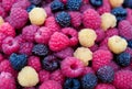 Mix three varieties of raspberries Royalty Free Stock Photo