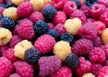 Mix three varieties of raspberries Royalty Free Stock Photo