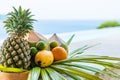 mix tropical fruit with sea background Royalty Free Stock Photo