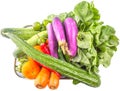 Mix Tropical Vegetables Isolated VII