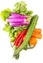 Mix Tropical Vegetables Isolated XI