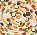 Mix of vector realistic nuts and seeds laid out in a circle