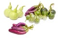Mix vegetable: Bottle Gourd,Cockroach Berry, Eggplant and Young Royalty Free Stock Photo
