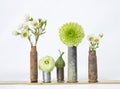 Mix of White and Green Plants and Flowers in Bullet Vases on White Background