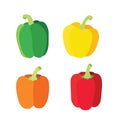 Colour Yellow orange red green bell pepper isolated on white background  Illustration vector Royalty Free Stock Photo