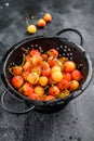 Mix of yellow and red ripe cherries in a colander. Black background. Top view Royalty Free Stock Photo