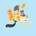 Mixed animal origami vector illustration