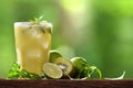 Mixed apple,kiwi and lime juice in glass with sliced lime, mint and kiwi on wood and nature