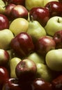 Mixed Apples and Bartlet Pears Royalty Free Stock Photo
