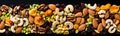 Mixed assorted nut vegan dried snack Royalty Free Stock Photo