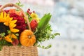 Mixed autumn flowers in basket, bouquet is on the windowsill with copy space. Royalty Free Stock Photo