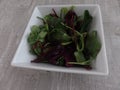 Mixed baby leaf salad in a bowl