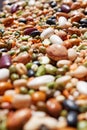 Mixed beans. Royalty Free Stock Photo