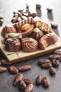 Mixed belgian pralines. Chocolate truffles. Royalty Free Stock Photo