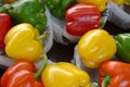 Mixed bell peppers Royalty Free Stock Photo