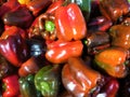 Mixed Bell Peppers Royalty Free Stock Photo