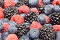 Mixed Berries Royalty Free Stock Photo