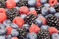 Mixed Berries Royalty Free Stock Photo