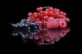 Mixed berries and currants Royalty Free Stock Photo