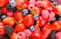 Mixed berries fruits Royalty Free Stock Photo