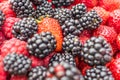 Mixed berries of raspberries, strawberries, blackberries close-up. Royalty Free Stock Photo