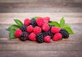 Mixed berry fruits Royalty Free Stock Photo